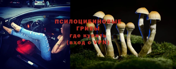 стафф Алзамай