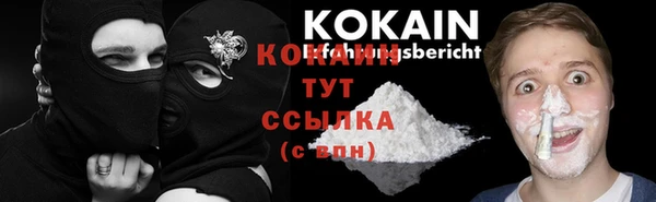 винт Осинники