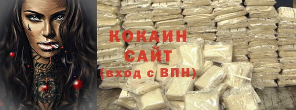индика Абаза