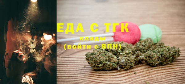 индика Абаза