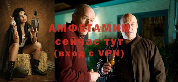 индика Абаза