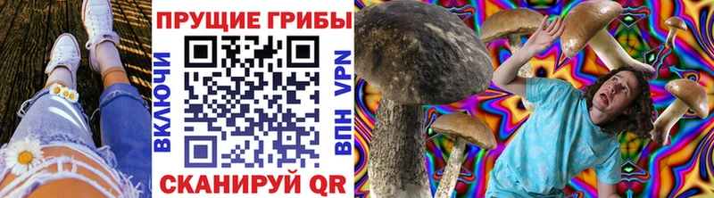 Галлюциногенные грибы прущие грибы  где можно купить   hydra ссылка  Партизанск 